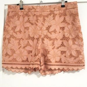 NWT Lace Scallop Hem Petite Shorts
